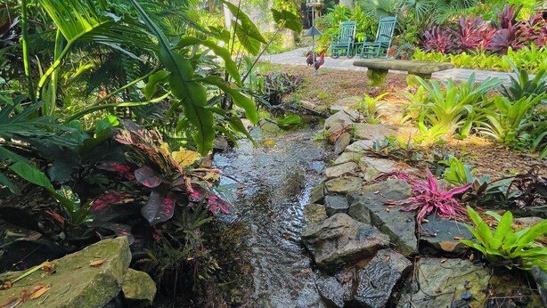 A garden with a small stream, lush greenery, and a stone bridge. - Tranquil Guest Suite in Paradise with Private Pool Walking Distance to Town
 (Saint Augustine)