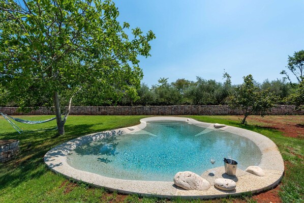 Pool - Holiday Home Casia with Pool (Svetvinčenat)