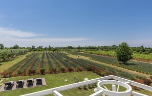 Property grounds - Holiday Home Casia with Pool (Svetvinčenat)