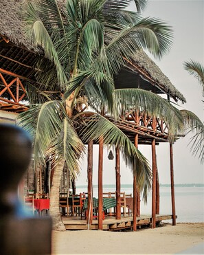 Property grounds - Villa Pili - 6 Bedrooms & 6 Bathrooms Oceanview  (Nungwi)