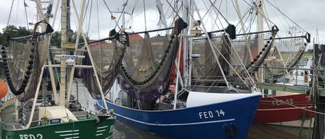 Several fishing boats docked at a harbor with nets and equipment visible.