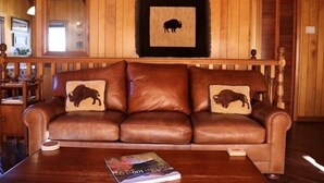 A brown leather sofa with buffalo-themed cushions, a framed buffalo silhouette, and a book on a wooden coffee table in a room with wooden walls and a wooden door. - RMNP,Longs Peak Views,Fireplace,Grill,Deck,Mtn Neighborhood Above Estes Park (Estes Park)