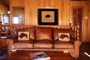 TV, fireplace, video games, DVD player