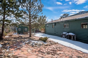 Un chalet rustique à l’extérieur vert, avec un chemin de pierres et un sol recouvert de neige.