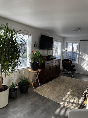 A modern living room with a large potted plant, a wooden side table, a dark wooden cabinet, a black chair, and a flat-screen TV mounted on the wall.