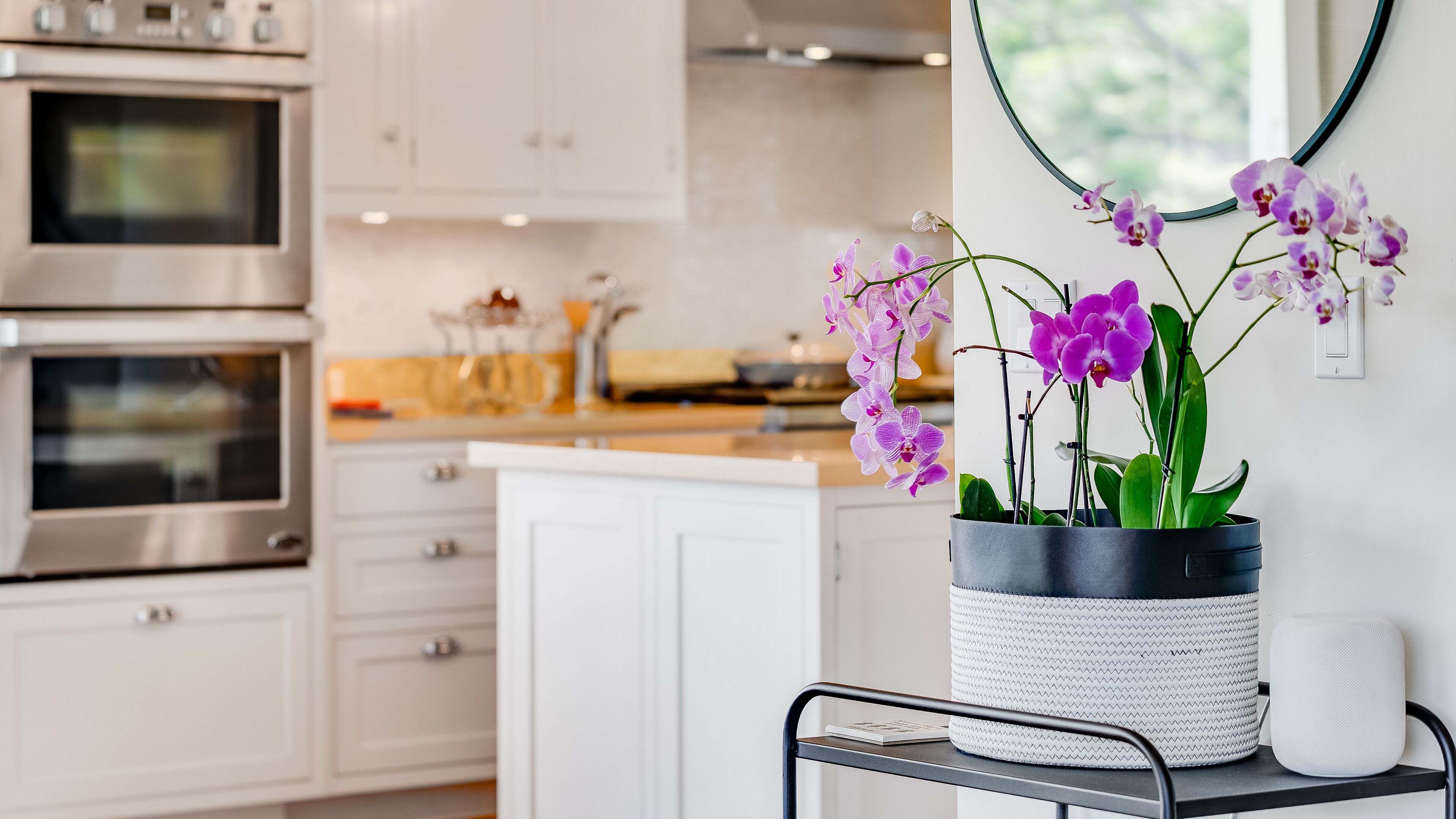 Une cuisine moderne avec des meubles blancs, des appareils en acier inoxydable et une orchidée en pot, placée sur un chariot.
