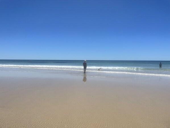Playa en los alrededores