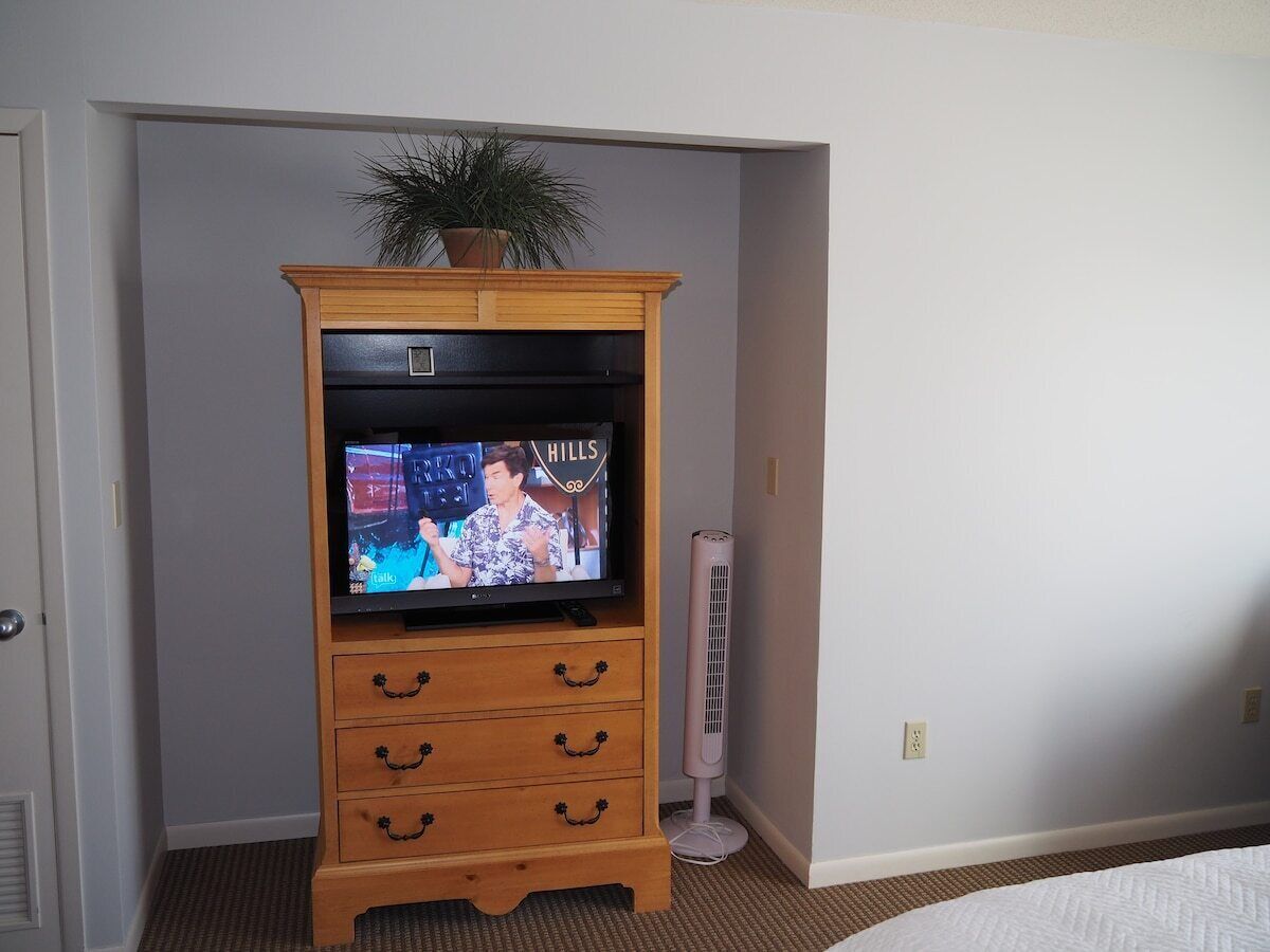 A television on a wooden cabinet with drawers, a potted plant on top, and a standing fan beside it.