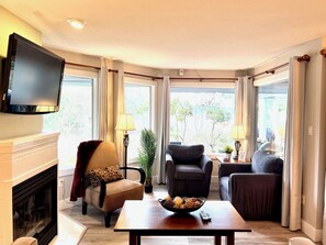 Fernseher, Kamin, Arbeitsbereiche