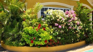 A well-maintained garden with various plants and flowers, a pool, and a building with a yellow facade and white window frames. - The Best 2 Bedrooms Townhouse in Montego Bay! (Montego Bay)