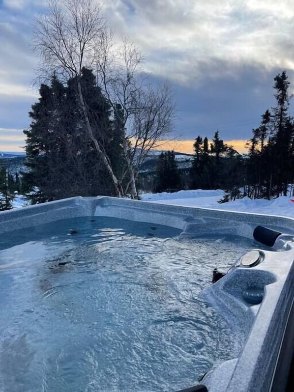 Un bain à remous avec vue sur un paysage enneigé et des arbres.