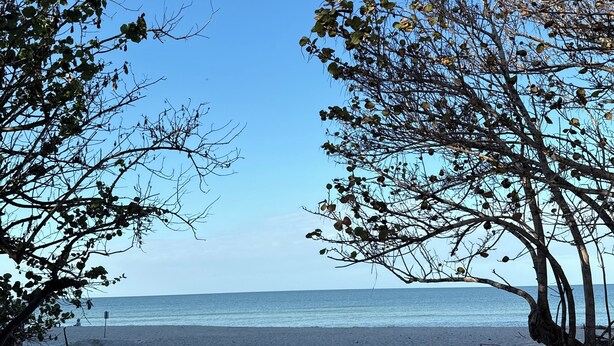 Una platja amb cel blau, arbres i mar tranquil·la.