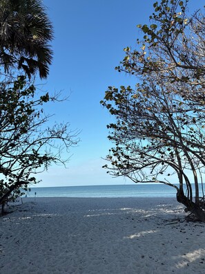 A beach with clear skies, trees, and a calm sea. - Beautiful Naples Home at an Amazing Location!!! (Naples)