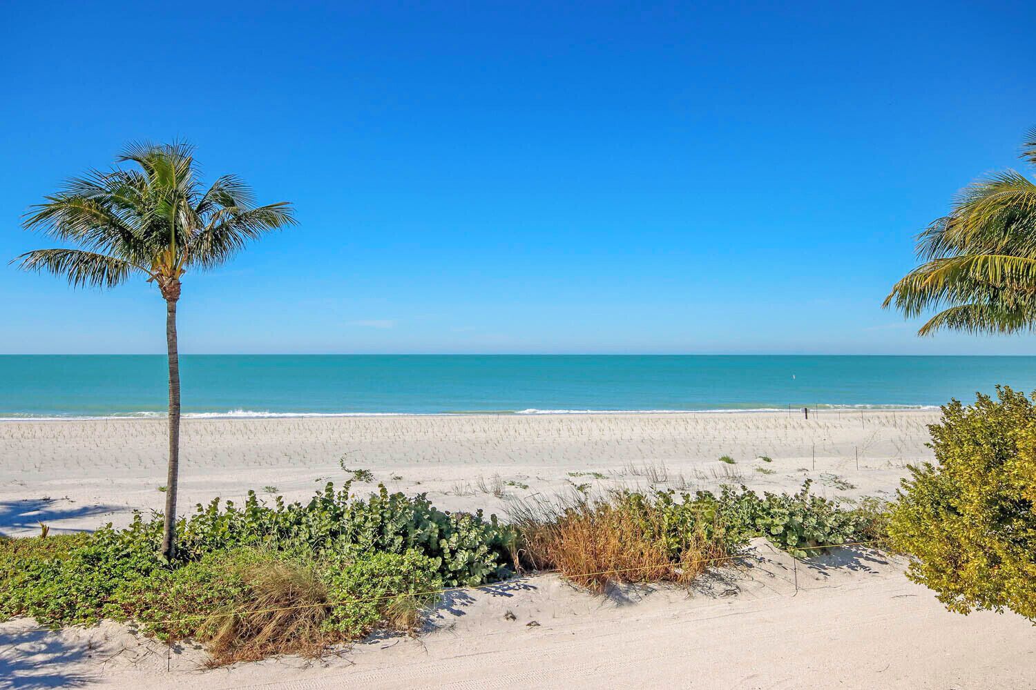 ビーチの近く、ビーチパラソル