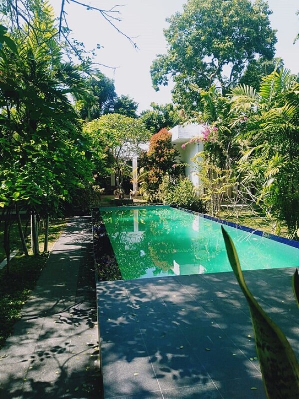 Piscine extérieure