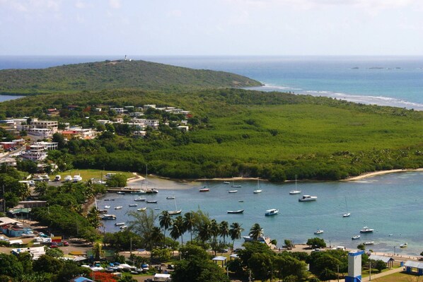 A coastal town with a lighthouse on a hill, boats in the harbor, and dense greenery.