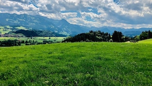 A panoramic view of a lush green field with distant mountains and a partly cloudy sky. - Cozy vacation apartment (Ofterschwang)