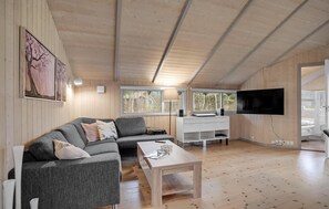 Smart-TV, Kamin