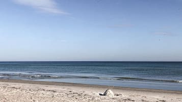 Playa en los alrededores y pesca