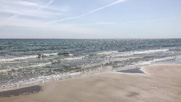 Beach nearby, fishing