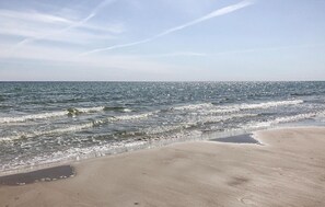 靠近海滩、钓鱼