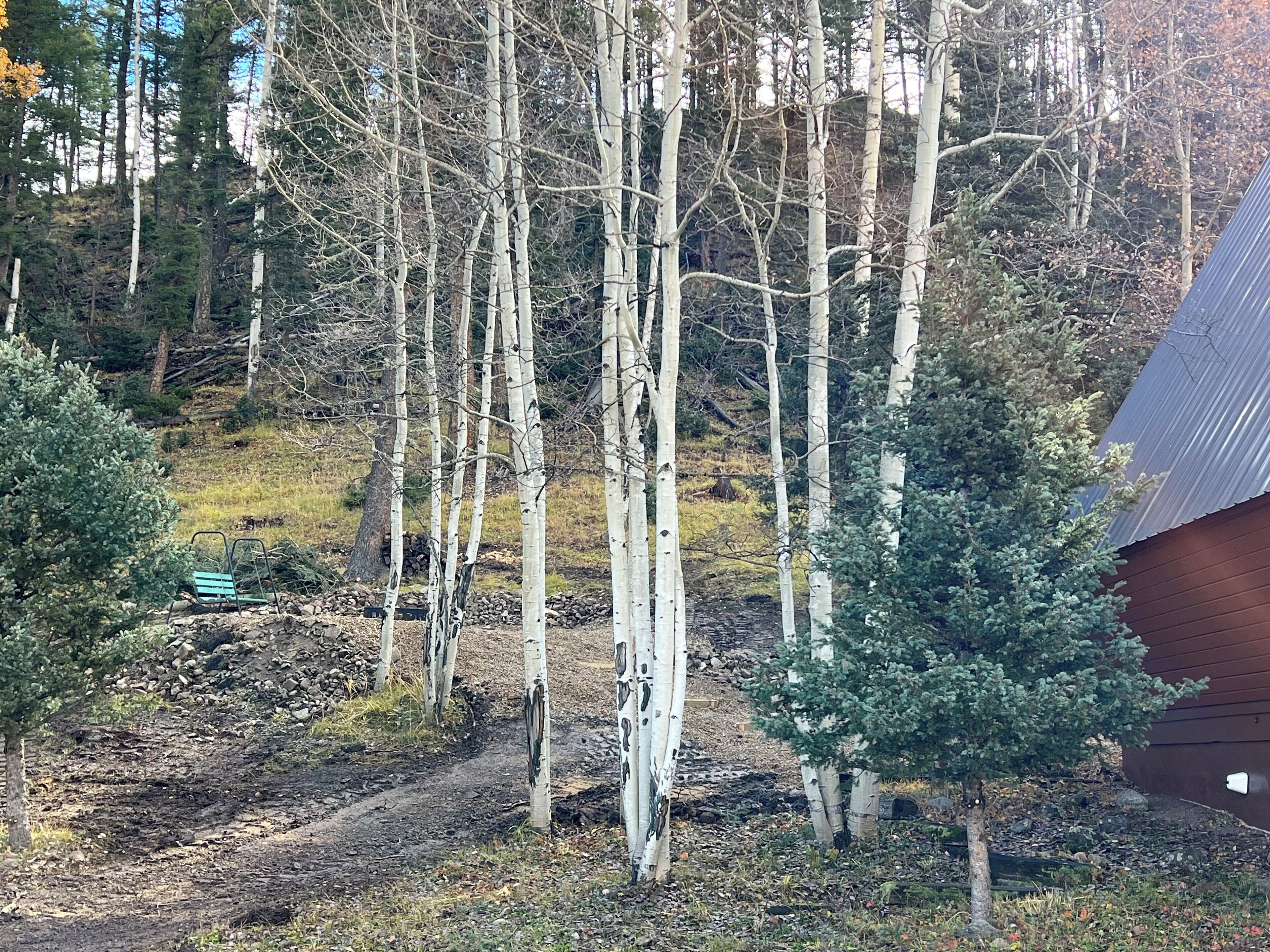 منوع