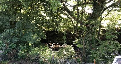 3br-sleeps6-garden-mountain &near 4 Falls Walks on