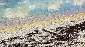 Um lago calmo com uma praia de pedras e montanhas ao longe.