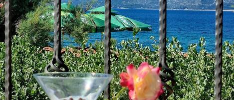 Utsikt fra overnattingsstedet