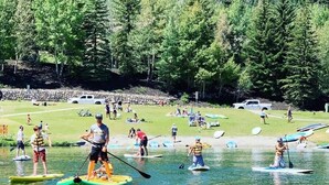 A group of people paddleboarding on a lake with a grassy area and trees in the background.