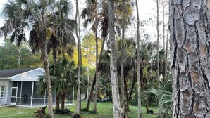 Zona residencial con árboles altos, una casa con porche mosquitero y un jardín césped.