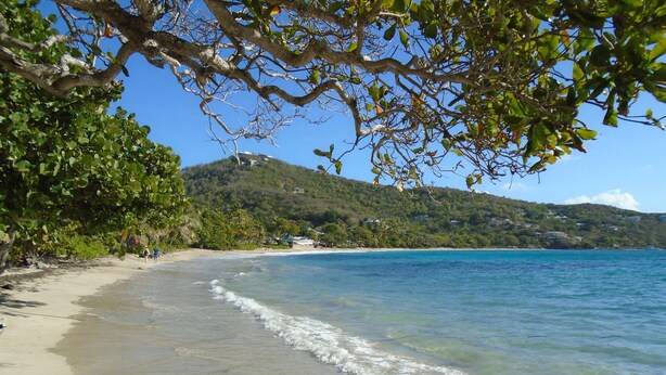 A beach with clear blue water, sandy shore, and lush greenery.