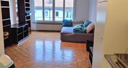 Entire Flat Close to Airport, Train, Center for 7