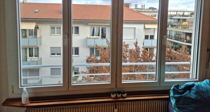 Entire Flat Close to Airport, Train, Center for 7
