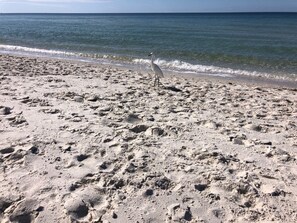 Solstolar och strandhanddukar