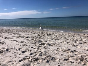 Solstolar och strandhanddukar