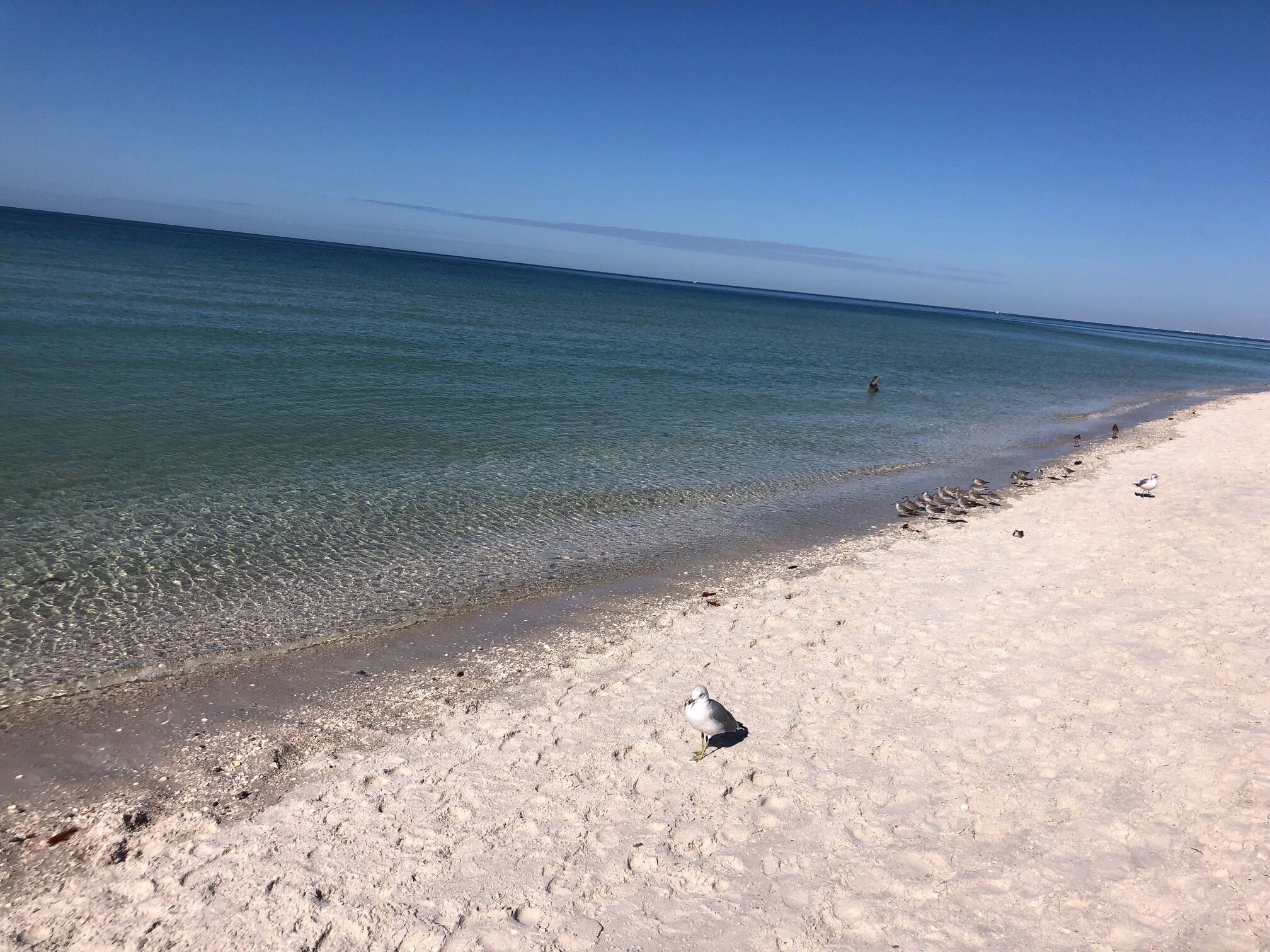 Sun-loungers, beach towels