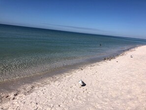 En strand med klart vatten och en sandstrand.