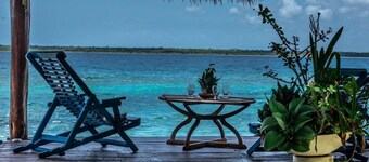 PICTUREQUE VILLA IT'S OWN PRIVATE COVE LAKE DOCK Palapa Swings Kayaks SUP Boards