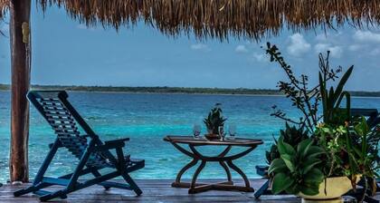 PICTUREQUE VILLA IT'S OWN PRIVATE COVE LAKE DOCK Palapa Swings Kayaks SUP Boards