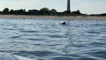 Un phare sur une plage, avec une eau calme.