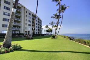 A hotel with a well-maintained lawn, palm trees, and a view of the ocean.