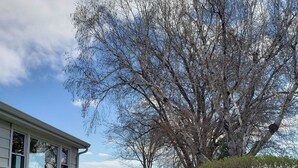 A house with a well-maintained lawn, a deck, and a view of a body of water. - Beautiful Sunrises and Lakefront Views! (Fond du Lac)