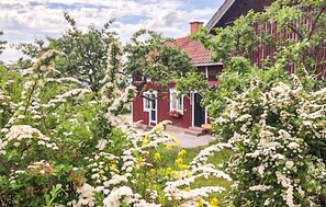 Eksteriør