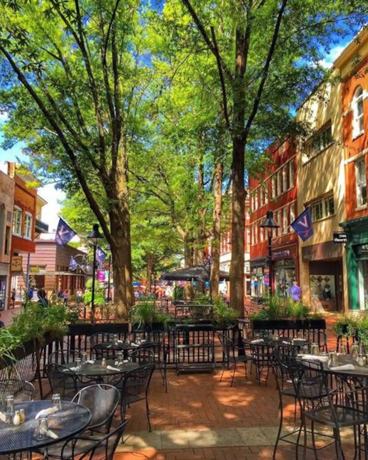 تناول الطعام بالخارج