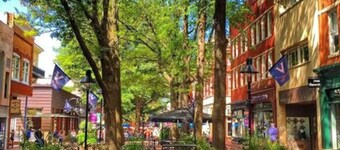 Luxe Private Getaway in the Heart of Wintergreen!