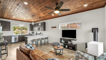 Smart TV, fireplace, books