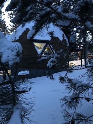 Property grounds - Perfect Forest Therapy Location - 3 acres - Geodesic Dome - Find your Peace ! (Lead)