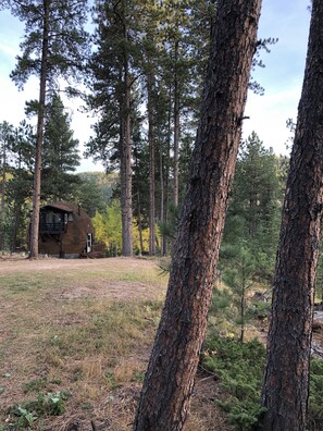 Exterior - Perfect Forest Therapy Location - 3 acres - Geodesic Dome - Find your Peace ! (Lead)