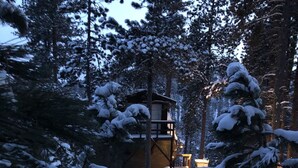 A cabin surrounded by snow-covered trees.